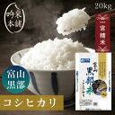 コシヒカリ 20kg 富山県黒部産 一宮精米 5kg×4 米 お米 令和3年産 単一原料米【送料無料】【39ショップ対応】 【あす楽対応】