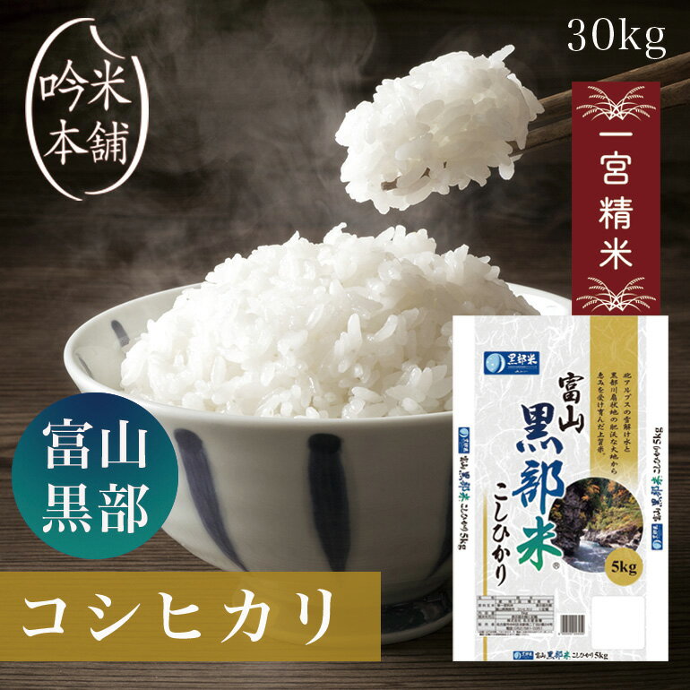 コシヒカリ 30kg 富山県黒部産 令和5年 一宮精米 5kg×6 米 お米 単一原料米 こしひかり【送料無料】【39ショップ対応】【2個口にてお届け】