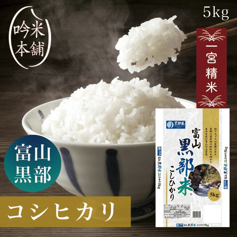 コシヒカリ 5kg 富山県黒部産 令和5年 一宮製法 米 お米 【送料無料】【39ショップ対応】【北海道・沖縄県・離島送料必要】