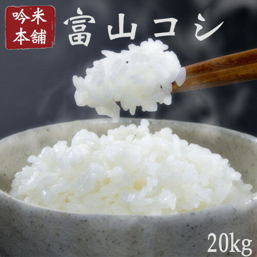 こしひかり 20kg 送料無料 富山県産【令和元年産 】5kg×4【北海道3,980...