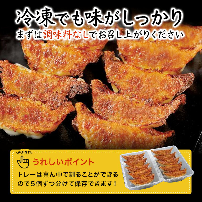 餃子 30個　（10個×3パック） 業務用 国産 ぎょうざ ギョーザ 冷凍 冷凍餃子 にんにく 中華 小分け お取り寄せ まとめ買い 【1個 約15g】 味の素 【北海道・沖縄・離島別途送料必要】【送料無料】 3