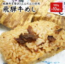 冷凍食品 飛騨牛 めし 5個入×2 10個入(1個 100g)【レンジ】送料別