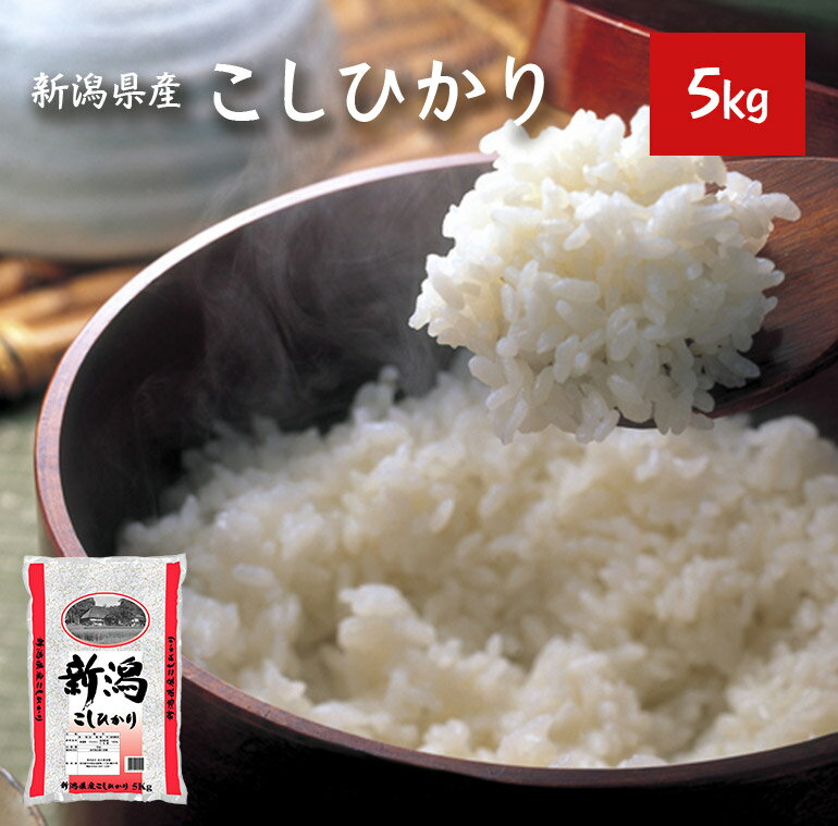 新米 令和2年 米 5kg こしひかり 新潟県産 【令和2年産】 送料別 【39ショ...