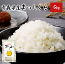 まっしぐら 青森県産 5kg 令和5年 米 お米 単一原料米  