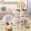 小動物用かじりおもちゃ|ケージ吊り下げタイプ 藤リングおやつ付き 木製ブロック 歯研ぎ ストレス解消 天然素材・安全設計|ケージに吊るして使用可能なマルチおもちゃ 歯の健康維持・退屈解消 ウサギ、モルモット、ハムスター、チンチラ 小型ペット用
