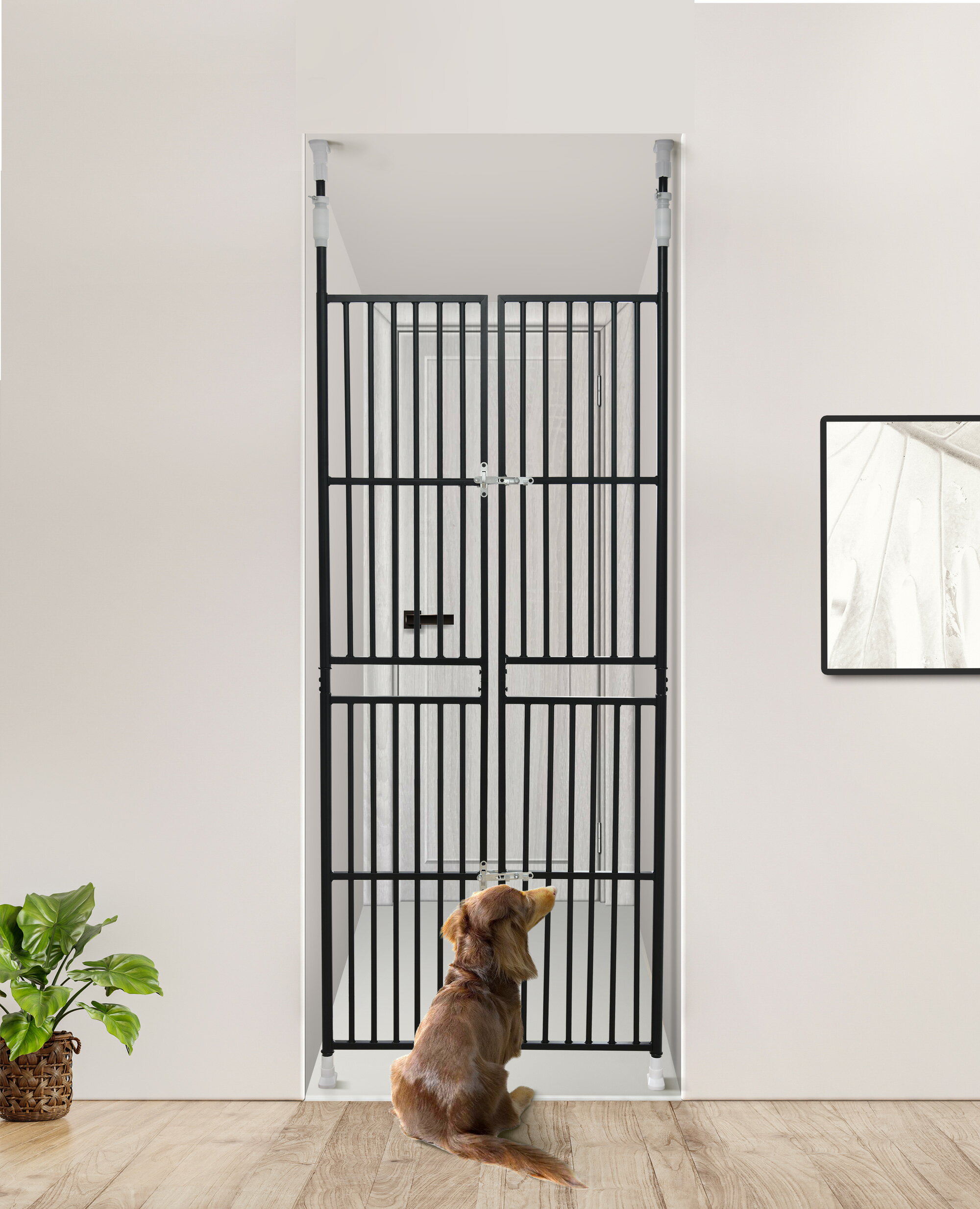 �ڥåȹ⤵Ĵ���б� 191��255cm �ɥ� ������ ������85��91cm α���� �ݸ� �ͥ� æ���ɻ� �� �ե��� æ���ɻ� ǭ�� ¿Ƭ���� ¿Ƭ ����