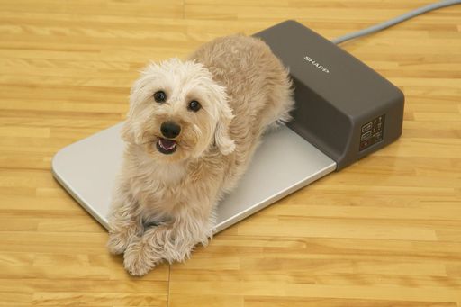 シャープ冷暖プレート