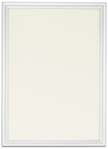 FUJICOLOR額縁デジフォトフレームD2A4アルミシルバー55330