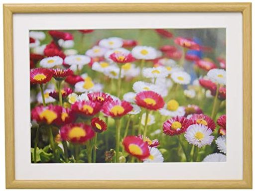 FUJICOLOR木製額縁M20A4木地407833