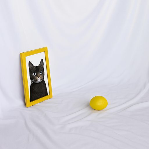 背景布2mx3m大型無地バックスクリーン撮影用写真撮影布スタジオ装飾折り畳み多用途洗濯可能(ホワイト)