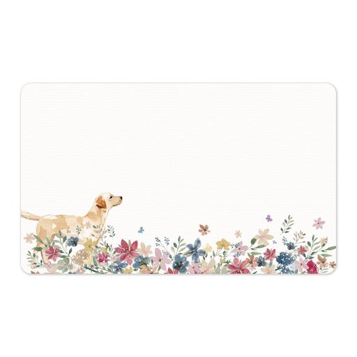 gift-ippoåɥߥ100̾ɥեߥ˥ɰ󥭥塼ɸ(֥ɡ롼Ȫ)