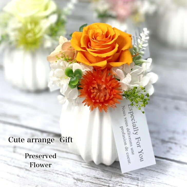 プリザーブドフラワー お誕生日プレゼント 女性 男性 コンパクト 歓迎 送別 母の日 父の日 敬老の日 お礼 お見舞い 20代 30代 40代 50代 おしゃれ 可愛い