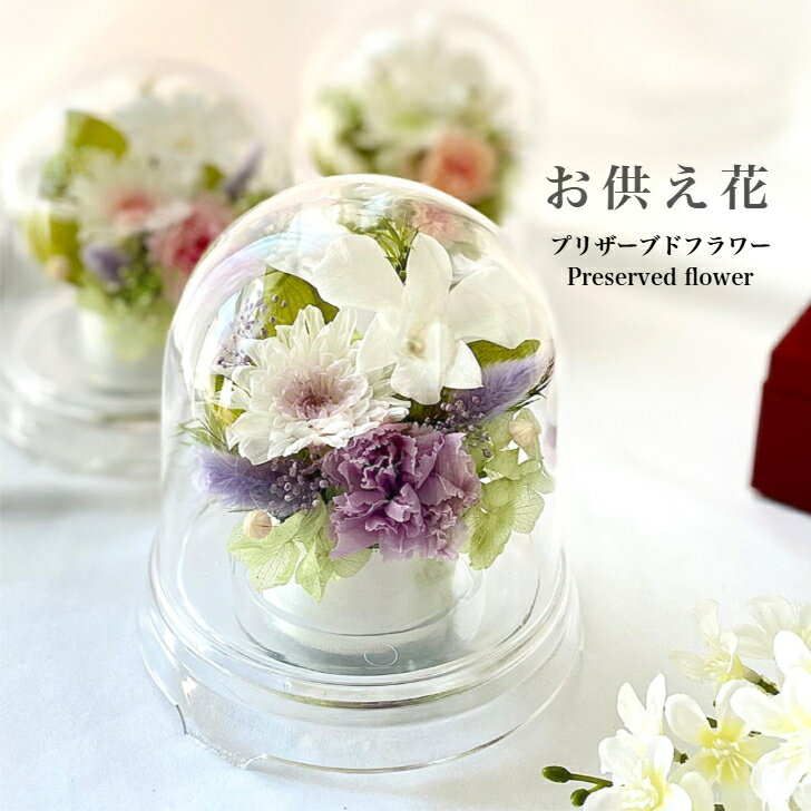 仏花 訃報 お悔やみ 花 法要 法事 お盆花 初盆 お供え お彼岸 仏壇 対 ご霊前 ご仏前 コンパクト ドーム型 デンファレ蘭