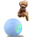 猫楽堂 犬 おもちゃ ボール 動く ウィキッド・ボール 電動 丈夫 運動不足 24年版 ワンちゃんのイタズラ友だち(4)