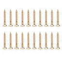 Musiclily Pro 3.0x25mm ギター/ベース・ブリッジ取り付け用皿頭 ビス (20本入)(2)