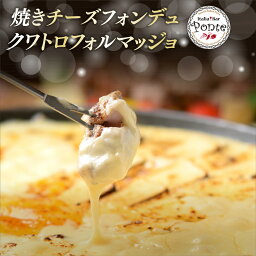 【月間優良ショップ受賞】チーズフォンデュ ポンテ イタリア バル ポンテ 名物焼きチーズフォンデュ クワトロフォルマッジョ BBQ バーベキュー パーティー アウトドア 冷凍お届け お返し