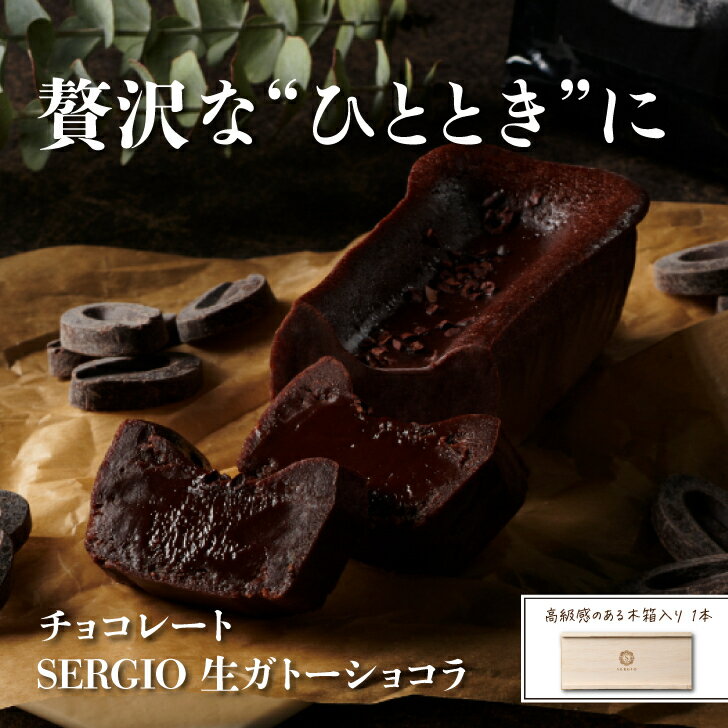 人気！ 生ガトーショコラ SERGIO グルテンフリー お取り寄せ スイーツ 高級 冷凍 保存料不使用 送料無料 290g 1本