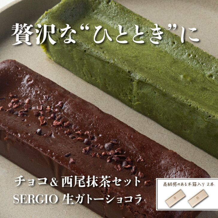 【2種セット】人気! 生ガトーショコラ SERGIO チョコレート 西尾抹茶 詰め合わせ グルテンフリー お取り寄せ スイーツ 高級 冷凍 保存料不使用 送料無料 セット割 290g