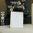 珈琲豆 コーヒー豆 コーヒー coffee スペシャリティーコーヒー ブラジル シングルオリジン 100g 250g 500g アイスコーヒー ギフト プレゼン...