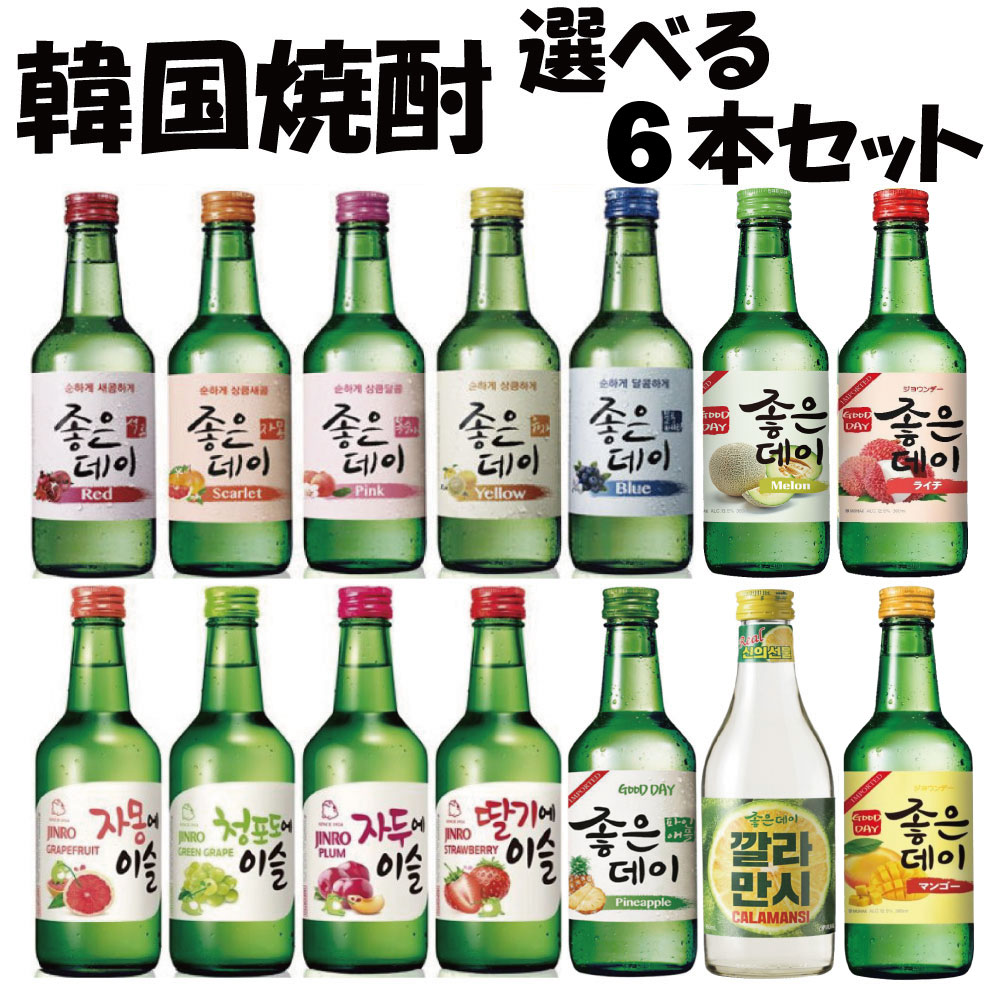 35種類から　選べる　韓国　果実焼酎　6本セット　ジョウンデー チョコミント　お酒/焼酎/韓国焼酎/韓国お酒　 ジョウンデー/チャミスル/ジョウンデイ/スンハリ/カクテル/美味しい/ジョウンデイ チョコミント