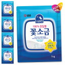 センピョ 塩妖精 コッソグム (花塩) 1kg 5袋セット / sempio コッ塩 セムピョ 泉標 韓国食材 調味料