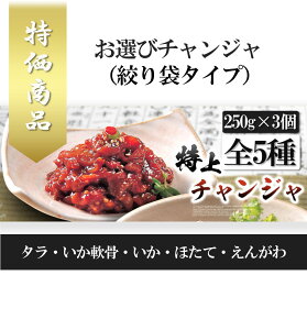 【クール便・冷凍】チャンジャ 5種 お選び商品 絞り袋タイプ■日本 特製 チャンジャ 無添加 本場の味 国内生産 鱈チャンジャ ちゃんじゃ 国内生産 手作り 伝統 特製 タラチャンジャ/いか/いか軟骨/ほたて/えんがわ/つけもの/キムチ