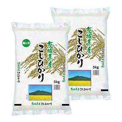 期間限定/送料無料　茨城県産コシヒカリ　精米　5kgX2袋...