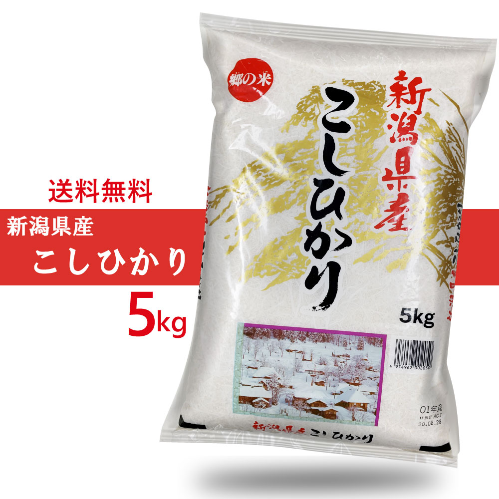 令和5年産 新潟県産 コシヒカリ 5kg(5キロ)　 米 こ