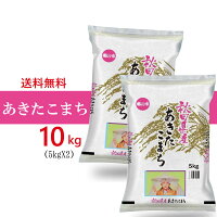 期間限定◆送料無料◆　令和2年産　秋田県産　あきたこまち 10kg お米