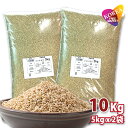 ߘa5NY 錧Y Ђ  10kg (5kg x 2)  ĉ (A͏) V  Mtg Q}C 