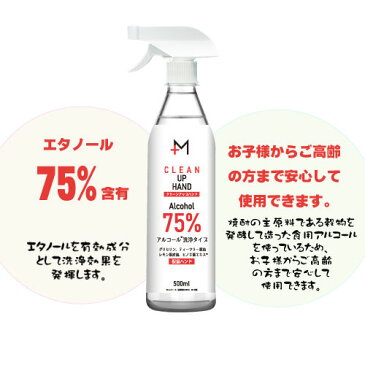 【在庫あり/送料無料】ハンドスプレー アルコール度数75% 500mlx25本1BOX