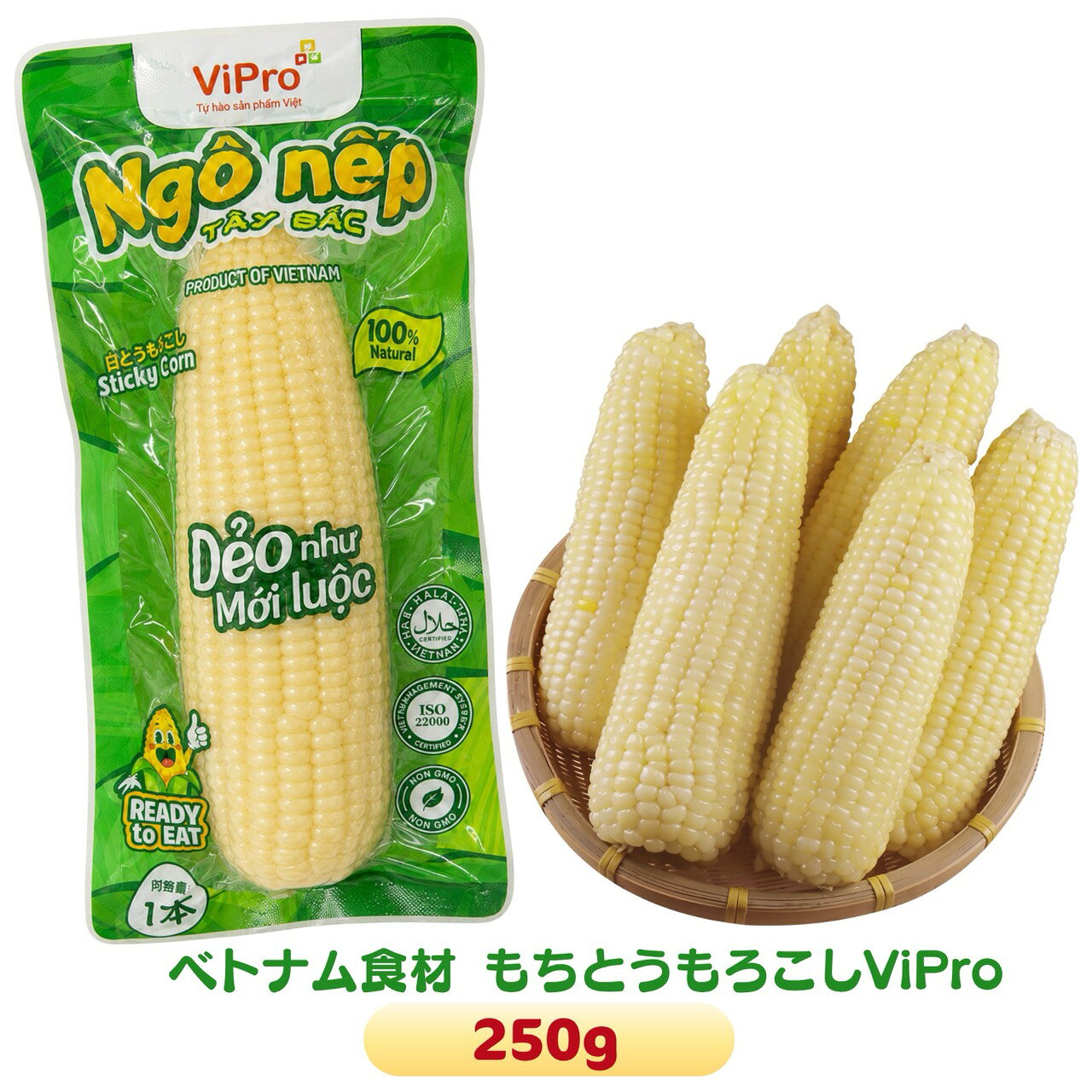 楽天市場】もちとうもろこし 種の通販