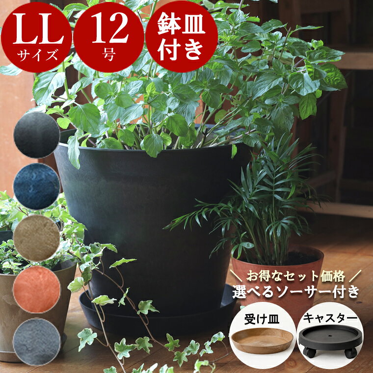 楽天市場】植木鉢 大型（サイズ（植木鉢）10 ～ 12号）（植木鉢
