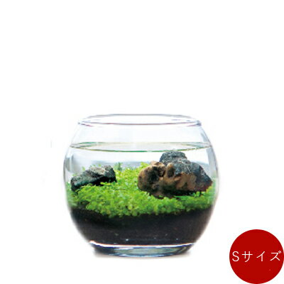 水耕栽培エアレーションのおすすめ人気ランキング10選