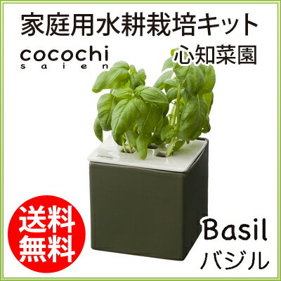 水耕栽培 ホームハイポニカ ホームハイポニカキット 心知菜園(cocochisaien)