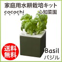 水耕栽培 キット おしゃれ 心知菜園 (グリーン:バジルの種...
