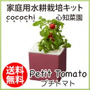 水耕栽培 キット おしゃれ 心知菜園 (ピンク:プチトマトの...