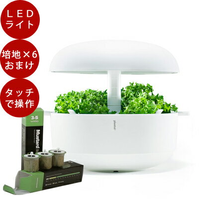 楽天TOKILABOトキラボ楽天市場店【栽培ポット＆種のおまけ付】LED 水耕栽培 キット Plantui 6（プラントゥイ6）LED 植物育成 水耕栽培 led ライト キット 球根 ポット ヒヤシンス ハーブ 花瓶 かわいい おしゃれ 栽培キット 室内 プレゼント キット ヴェクスセットジャパン 北欧 液肥 液体肥料 ハイポニカ