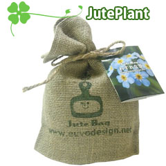 とってもエコでオシャレなプランター栽培セット☆JutePlant-