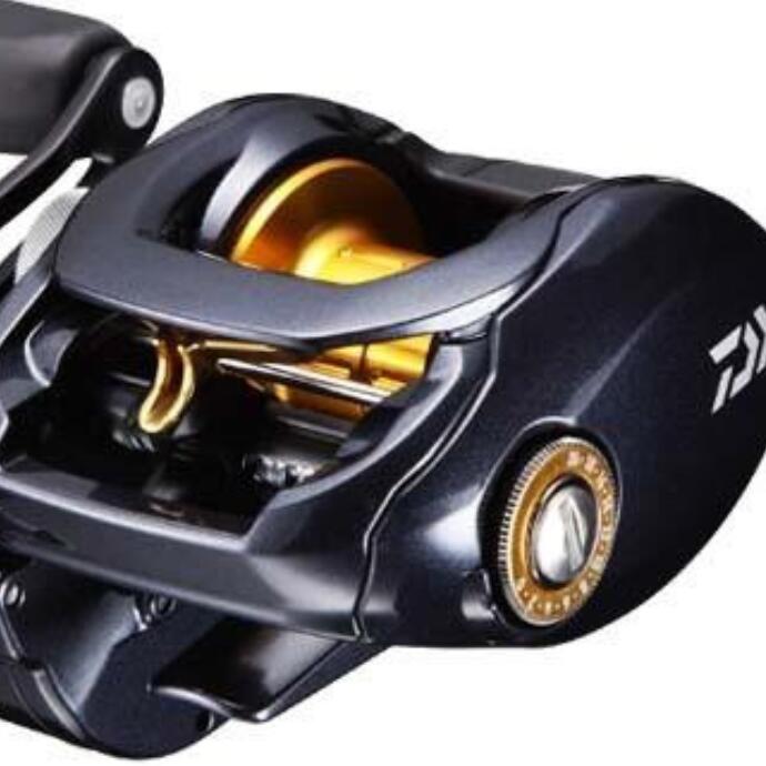 楽天市場】タトゥーラ tw 100shの通販