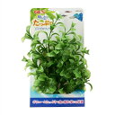 癒し水景 たっぷり ハイグロフィラ 【×5セット】 (観賞魚 / 水槽用品) 【お徳用 まとめ買い お買い得 業務用 割引 セット販売】 【 ペットフード ・ ペット用品 ペット・ペットグッズ 飼育 熱帯魚 めだか 水槽 ペットフード 熱帯魚・アクアリウム 】