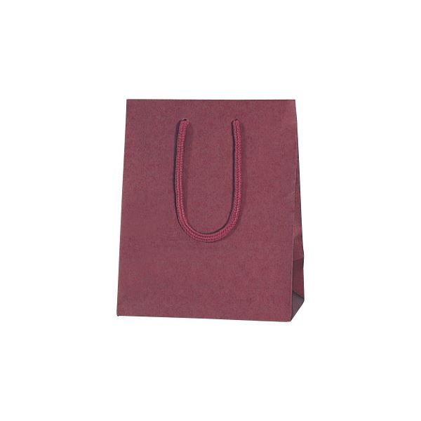 シモジマ カラーチャームバッグ20-12 10枚入 ( 掃除用品 文房具・事務用品 生活雑貨 オフィス用品 日用品雑貨 日用消耗品 文房具 お掃除 )
