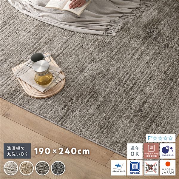 ミックスパイル ラグ 約190×240cm グレージュ 洗える 日本製 日本製 国産 軽量 防ダニ アレルブロック 遊び毛防止 オールシーズン