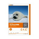 キョクトウ・アソシエイツ 学習ノート かんがえるノート L83R 1冊入 【×10セット】 【お徳用 まとめ買い お買い得 業務用 割引 セット販売】 日用品雑貨・文房具・手芸 文房具・事務用品 文具 オフィス用品 文房具 事務用品 ノート・紙製品 ノート・レポート紙