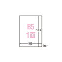 エーワン ラベルシール〈プリンタ兼用〉 マット紙 ノーカットタイプ 28421 100枚入 【×2セット】 【お徳用 まとめ買い お買い得 業務用 割引 セット販売】 プリンタ PCサプライ・消耗品 コピー用紙・印刷用紙 コピー用紙 名刺用紙 ラベル 紙