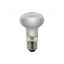 YAZAWA 長寿命レフ電球 RF100110V57WL 【×10セット】 【お徳用 まとめ買い お買い得 業務用 割引 セット販売】 家電 生活家電 照明 ライト 住宅設備家電