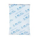 フジナップ 保冷剤 500g CP-500-10 1パック (10個) 【×4セット】 【お徳用 まとめ買い お買い得 業務用 割引 セット販売】