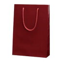 シモジマ ブライトバッグ 6138202 エンジ 1枚入 【×10セット】 【お徳用 まとめ買い お買い得 業務用 割引 セット販売】 日用品雑貨・文房具・手芸...
