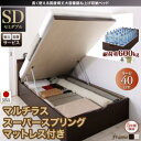 【組立設置サービス付 跳ね上げ式ベッド 収納ベッド 】 収納家具 収納ベッド 大容量 マルチラススーパースプリングマットレス(フランスベット社製 日本製マットレス )【縦開き】 【セミダブルベッド 】 マットレスセット セミダブルサイズ 【深さ:ラージ】 セミダブル(3)