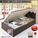 【組立設置サービス付 跳ね上げ式ベッド　収納ベッド 